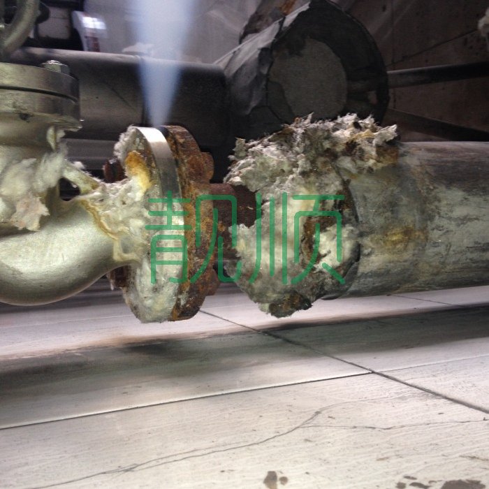 側(cè)輔汽手動(dòng)總門門前法蘭